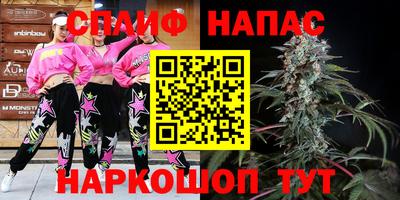 PSILOCYBIN Камышлов