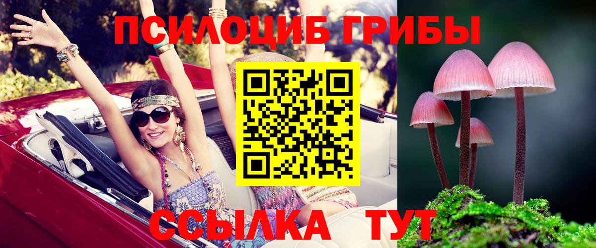 Кизляр  Галлюциногенные грибы GOLDEN TEACHER  Вход с VPN 